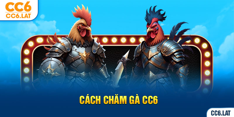 Ảnh đại diện cách chăm gà CC6