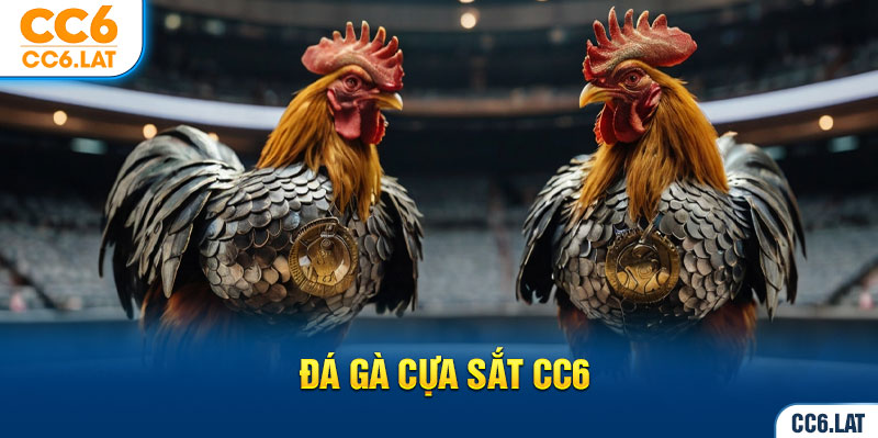 ảnh đại diện đá gà cựa sắt cc6