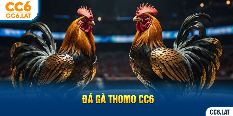 Ảnh đại diện đá gà thomo CC6